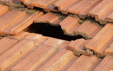 roof repair Llandrinio, Powys